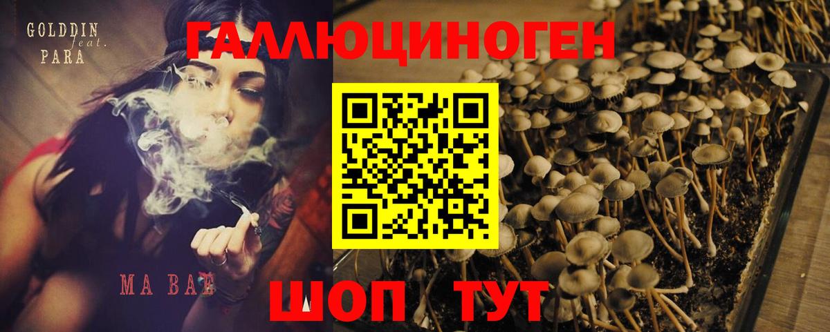 Псилоцибиновые грибы Magic Shrooms Великие Луки